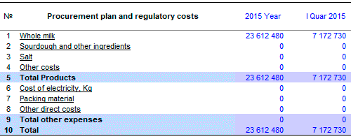 Example of table Procurement plan and regulatory costs for your business plan