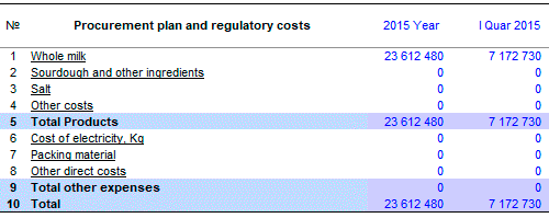 Example of the table Procurement plan and standard costs Example of table Procurement plan and regulatory costs for your business plan