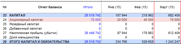 Результат расчета – строка [24] «Акционерный капитал»