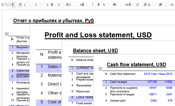 The business plan includes analytical text, conclusions, drawings, risk analysis, contingency analysis, etc.